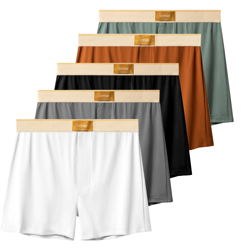 Boyshort Underwear - 4pcs 남성 화살표 바지 남성 코튼